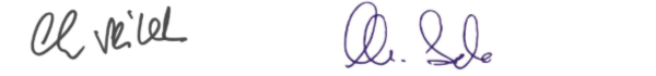 Newsletter Header neu (600x70) (13)